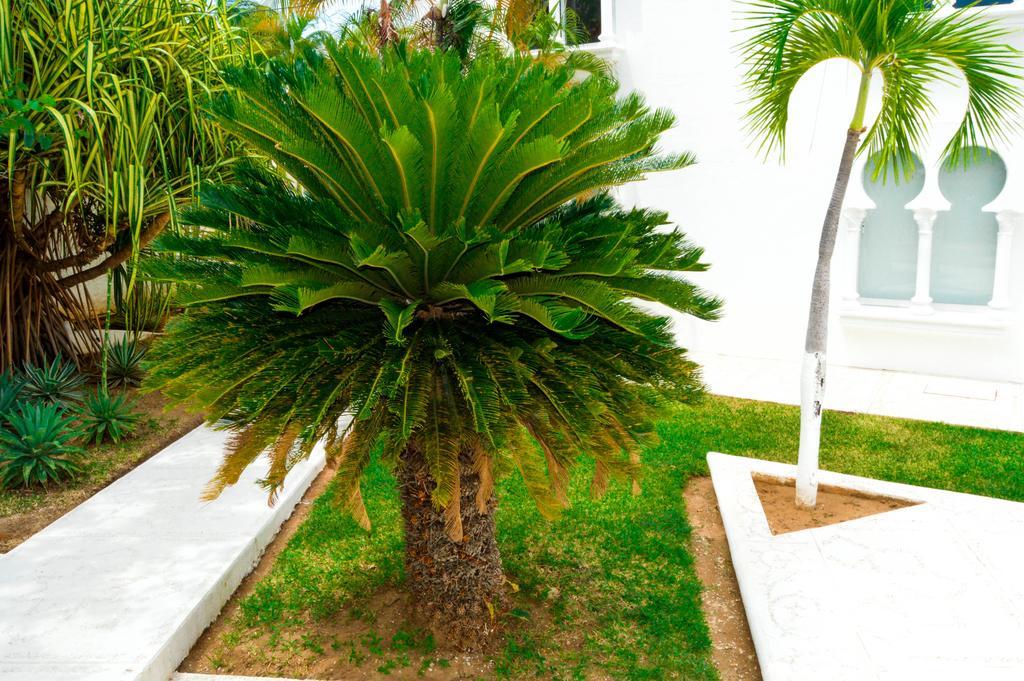 Hotel Aldea Del Bazar & Spa Puerto Escondido  Exterior photo